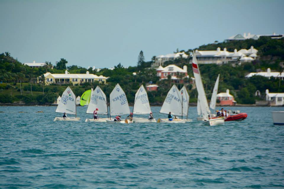 optis